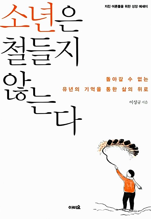 소년은 철들지 않는다 : 지친 어른들을 위한 성장 에세이