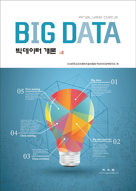 빅데이터 개론  = Big data  : analyse data / 한국소프트웨어기술인협회 빅데이터전략연구소 저