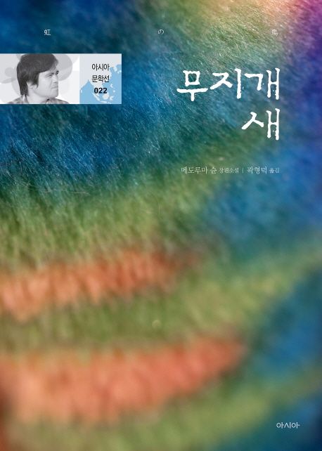 무지개새:메도루마슌장편소설