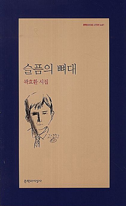 슬픔의 뼈대 / 곽효환 지음