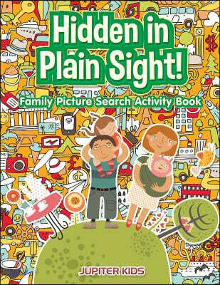 Hidden in Plain Sight! Family Picture Search Activity Book