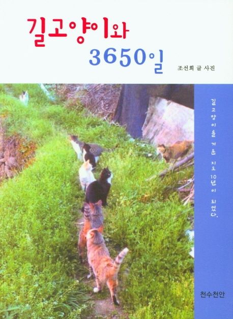 길고양이와 3650일 (길고양이를 거둔 지도 10년이 되었다)