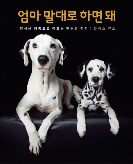 엄마 말대로 하면 돼 : 인생을 행복으로 이끄는 단순한 진리