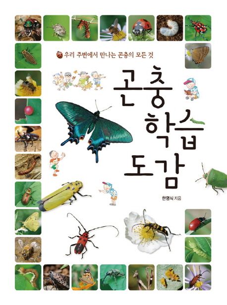 곤충 학습 도감 : 우리 주변에서 만나는 곤충의 모든 것