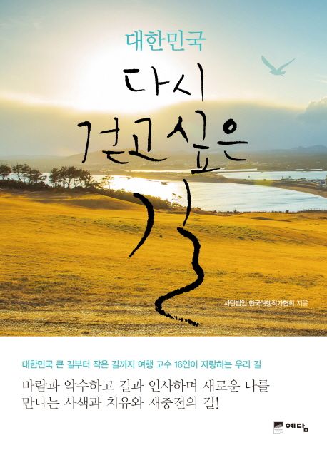 대한민국 다시 걷고 싶은 길 : 대한민국 큰 길부터 작은 길까지 여행 고수 16인이 자랑하는 우리 길
