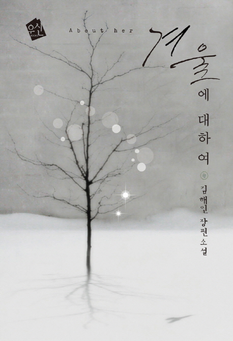 겨울에 대하여 : 김해인 장편소설
