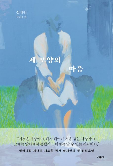 세 모양의 마음  : 설재인 장편소설