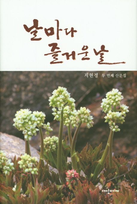 날마다 즐거운 날 : 지현경 두 번째 산문집