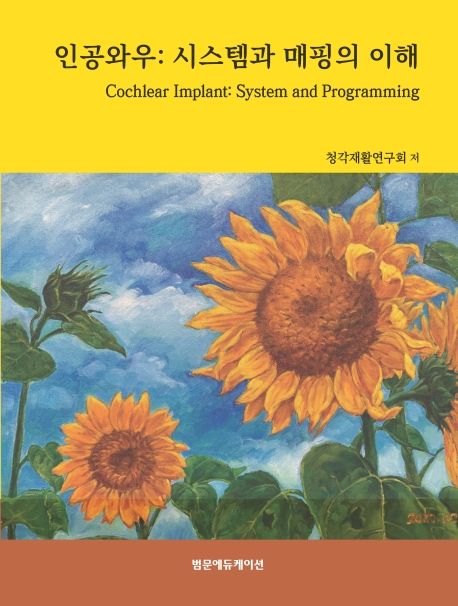 인공와우 : 시스템과 매핑의 이해