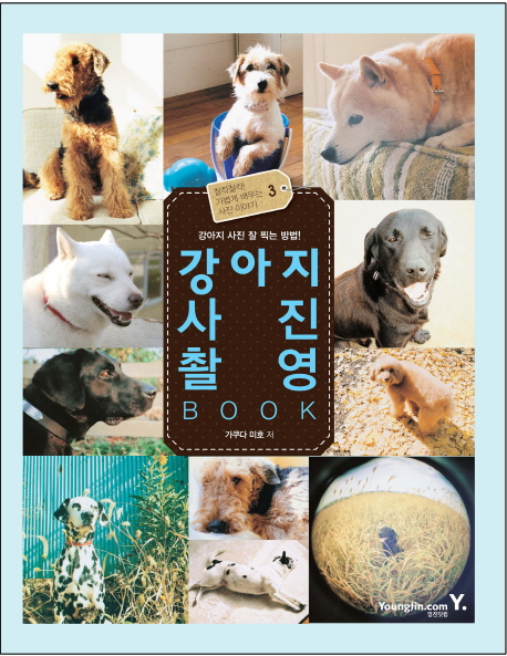 강아지 사진 촬영 book : 강아지 사진 잘 찍는 방법!