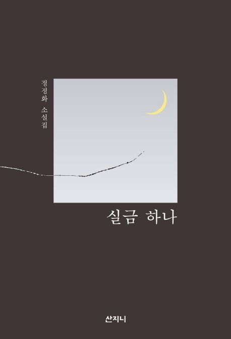 실금 하나 : 정정화 소설집