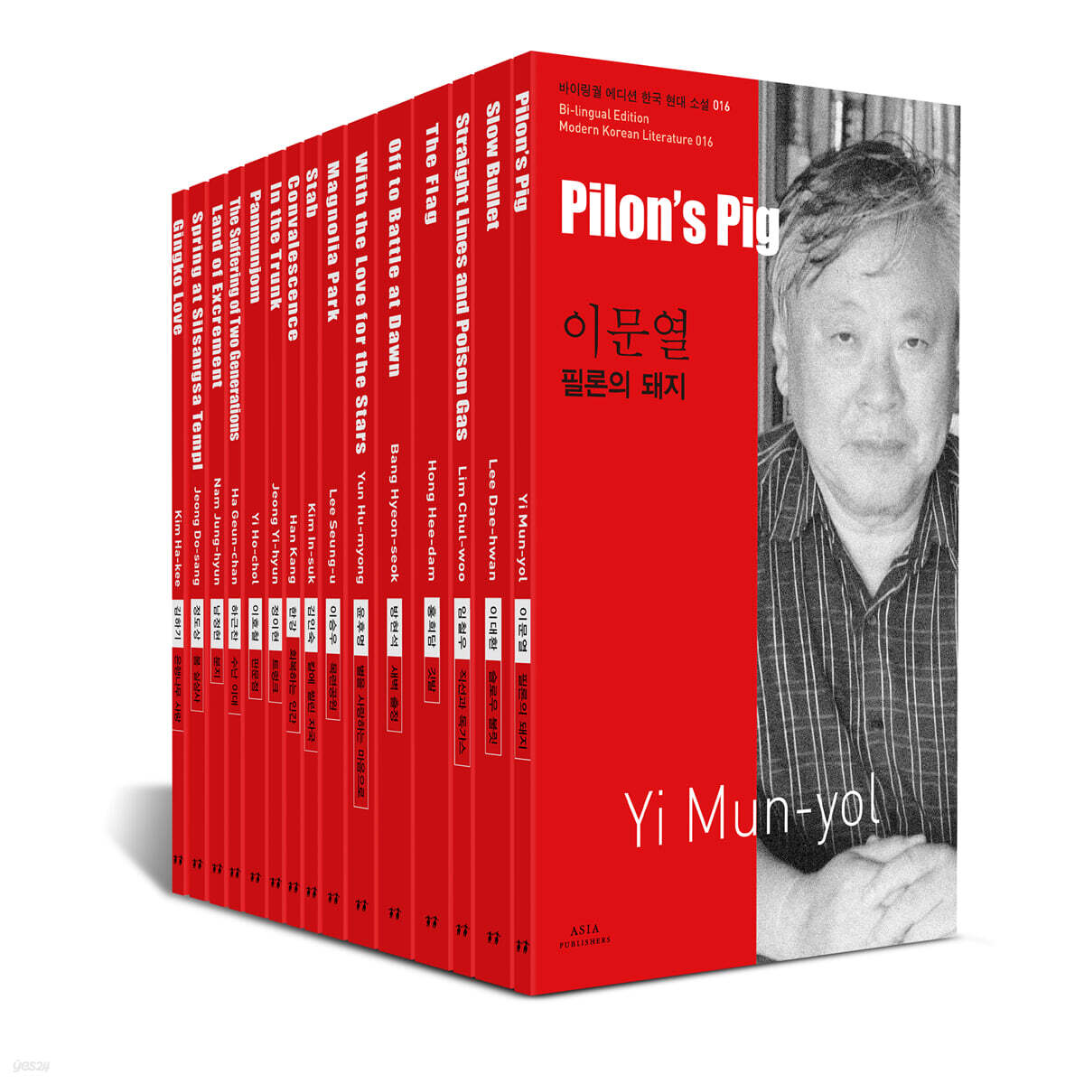 회복하는 인간 = Convalescence