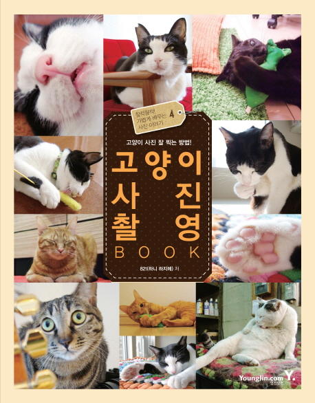 고양이 사진 촬영 BOOK : 고양이 사진 잘 찍는 방법!