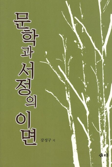 문학과 서정의 이면 : 강정구 평론집
