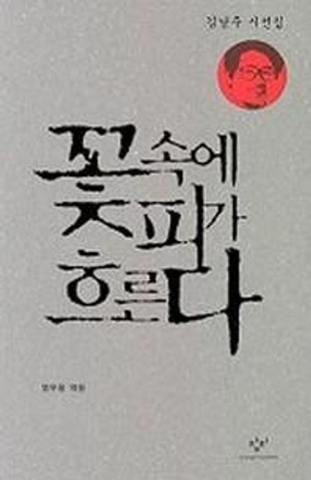 꽃 속에 피가 흐른다 : 김남주 시선집