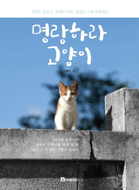 명랑하라 고양이