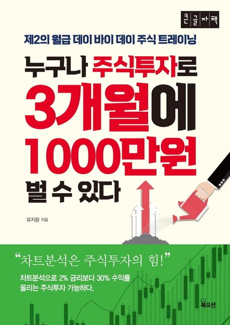 누구나 주식투자로 3개월에 1000만원 벌 수 있다 : 제2의 월급 데이바이데이 주식 트레이닝 : 큰글자도서 표지
