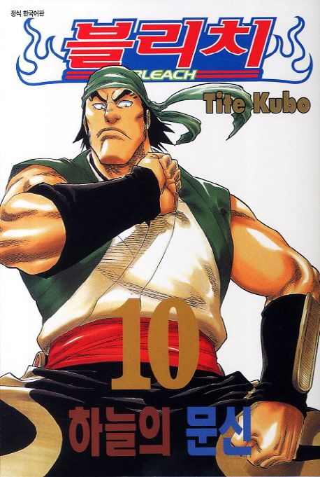 블리치 = Bleach. 10 : 하늘의 문신 / Tite Kubo 저 ; 오경화 번역