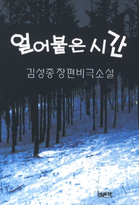 얼어붙은 시간 : 김성종 장편비극소설