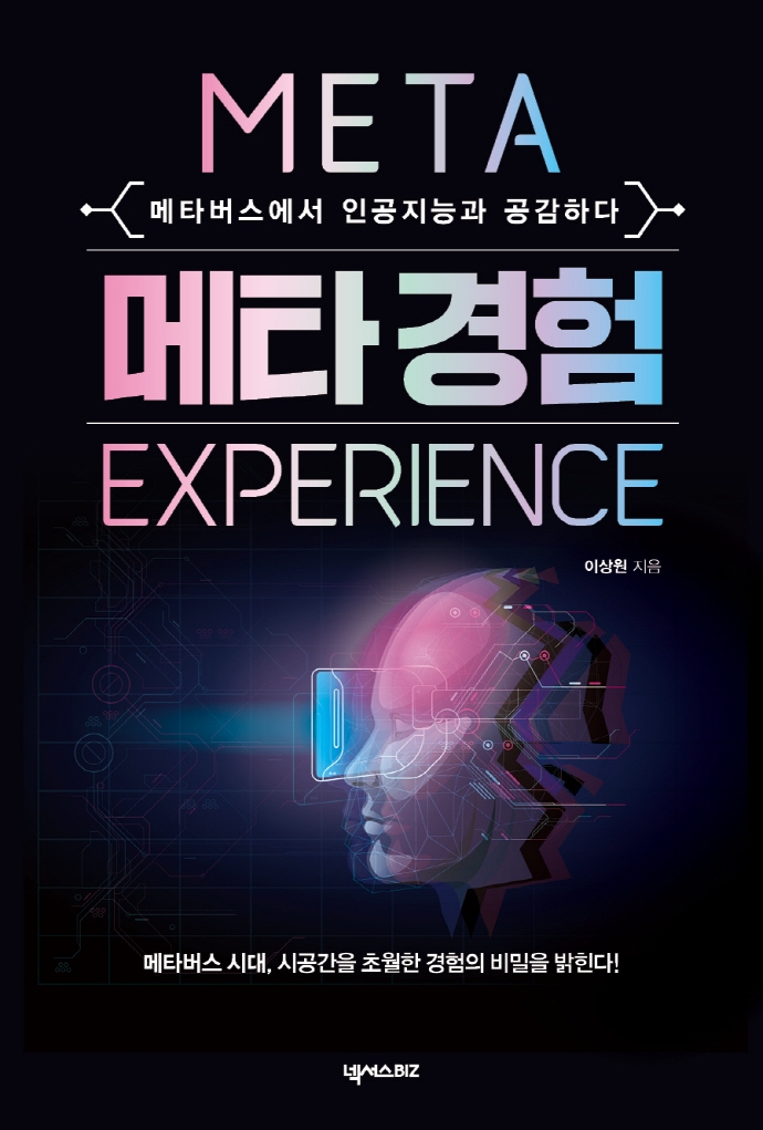 메타 경험= Meta experience