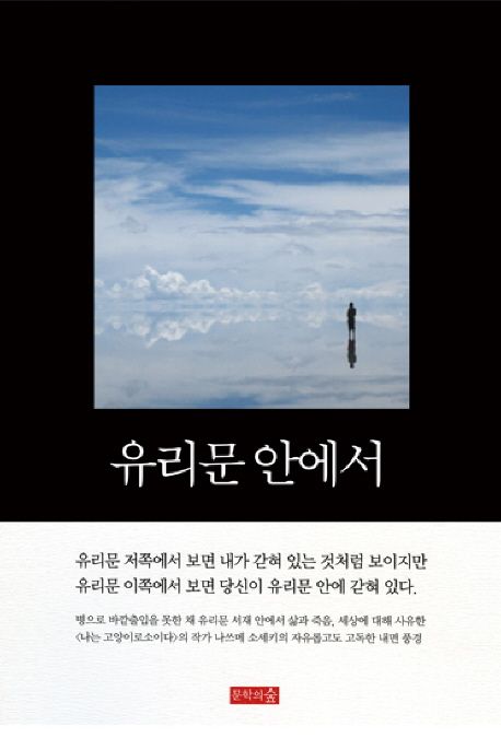 유리문 안에서 / 나쓰메 소세키 지음 ; 김정숙 옮김