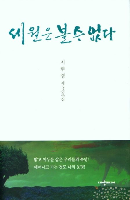 세월은 볼 수 없다 : 지현경 제5산문집