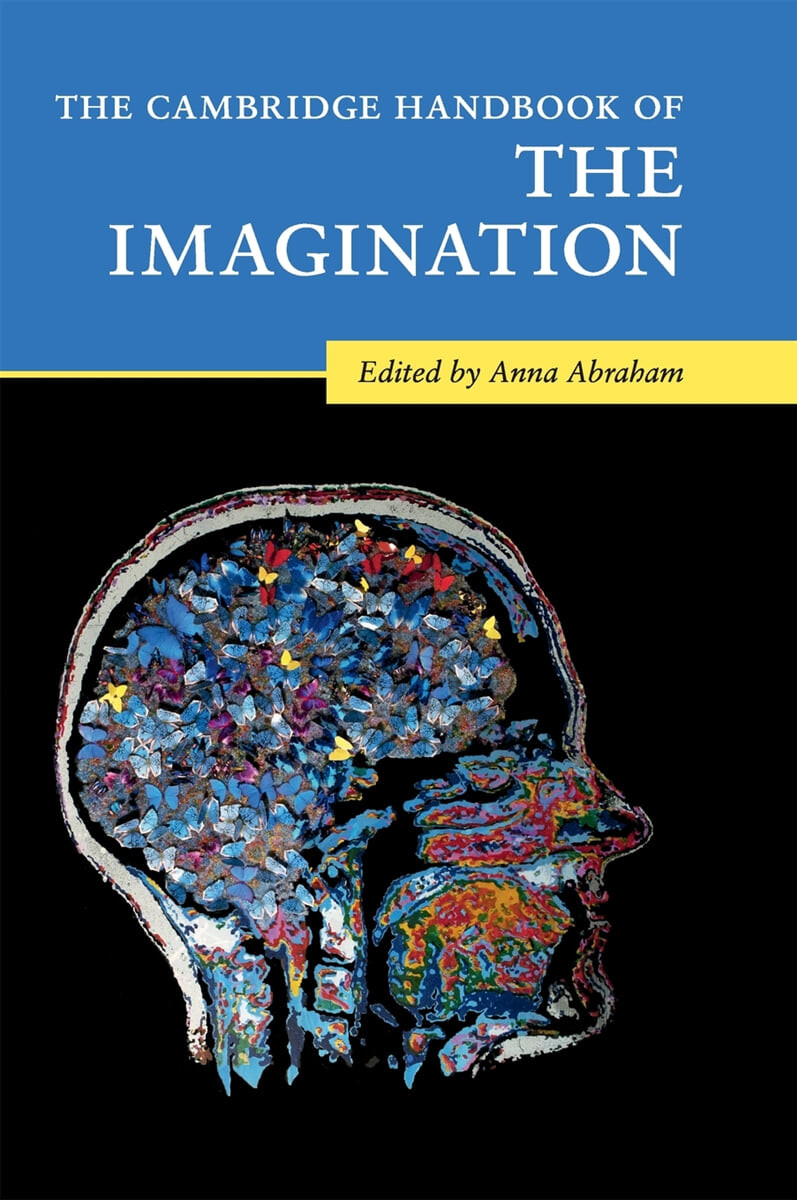 The Cambridge handbook of the imagination