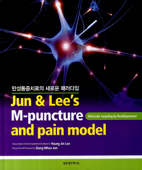 만성통증치료의 새로운 패러다임  = Jun & Lee's M-Puncture & pain model