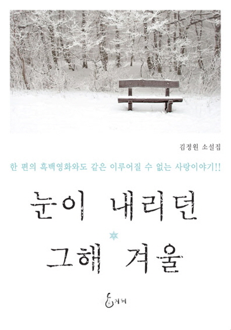 눈이 내리던 그해 겨울 : 김정원 소설