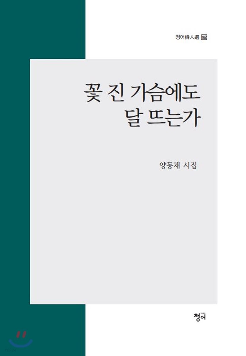꽃 진 가슴에도 달 뜨는가- [전자책] : 양동채 시집