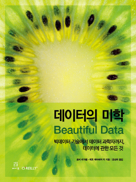 데이터의 미학 : 빅데이터 기술에서 데이터 과학자까지, 데이터에 관한 모든 것