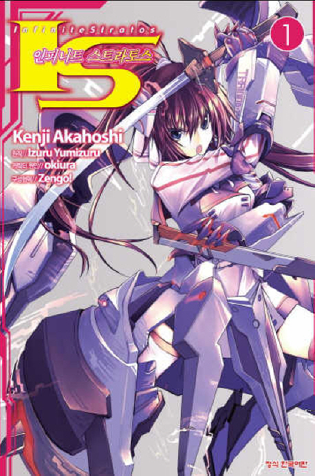 IS 인피니트 스트라토스