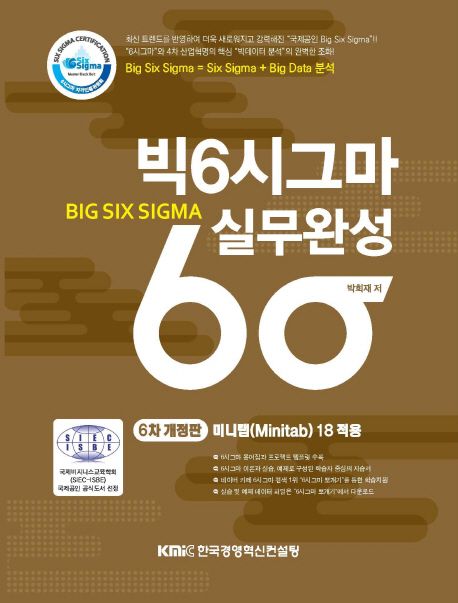 빅6시그마 실무완성 : Big Six sigma : 6차 개정판