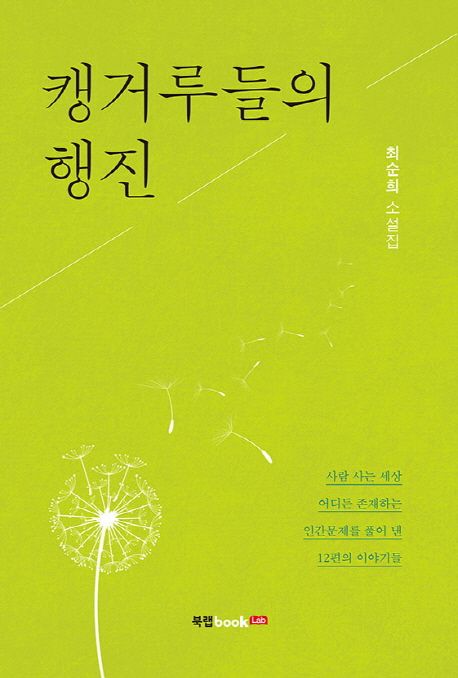 캥거루들의 행진 - [전자책]  : 최순희 소설집