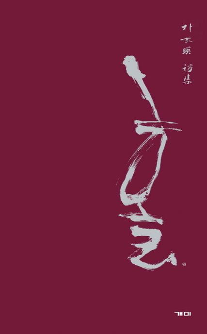 홀 : 박지영 시집