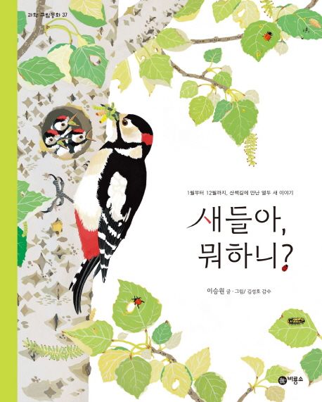 새들아, 뭐하니?  : 1월부터 12월까지, 산책길에 만난 열두 새 이야기