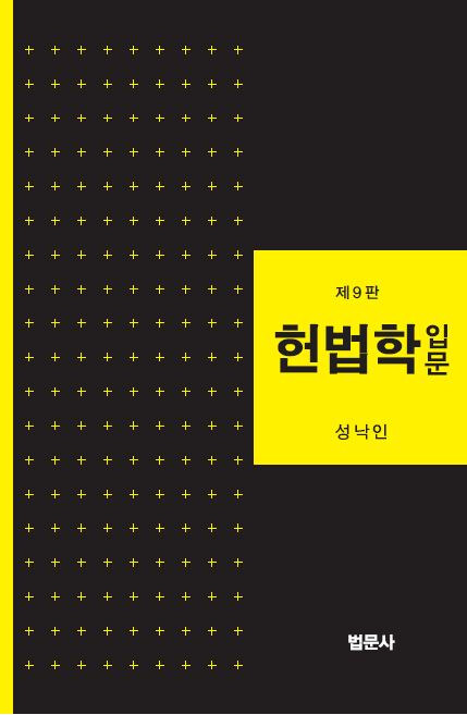 헌법학입문