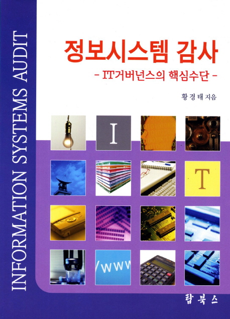 정보시스템 감사  : IT거버넌스의 핵심수단 = Information systems audit : major means of IT governance