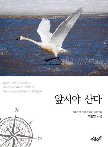 앞서야 산다- [전자책] : 앞선 아이디어로 수많은 성공사례담