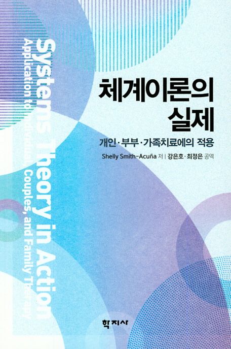 체계이론의 실제  : 개인·부부·가족치료에의 적용