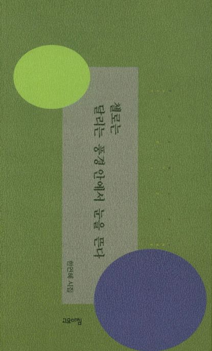 첼로는 달리는 풍경 안에서 눈을 뜬다 : 한연혜 시집