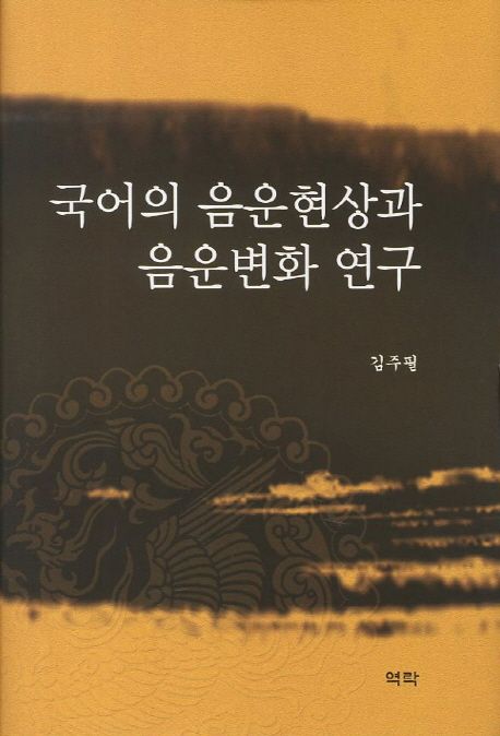 국어의 음운현상과 음운변화 연구 / 김주필 지음