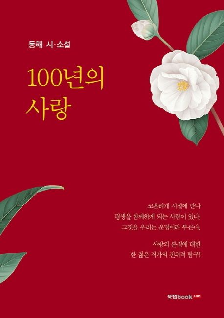 100년의 사랑 : 동해 시 소설