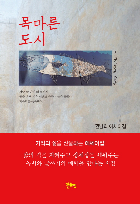 목마른 도시 = A thirsty city : 권남희 에세이집