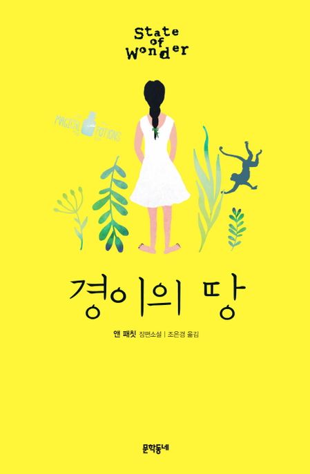 경이의 땅 : 앤 패칫 장편소설