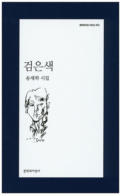 검은색  : 송재학 시집 표지