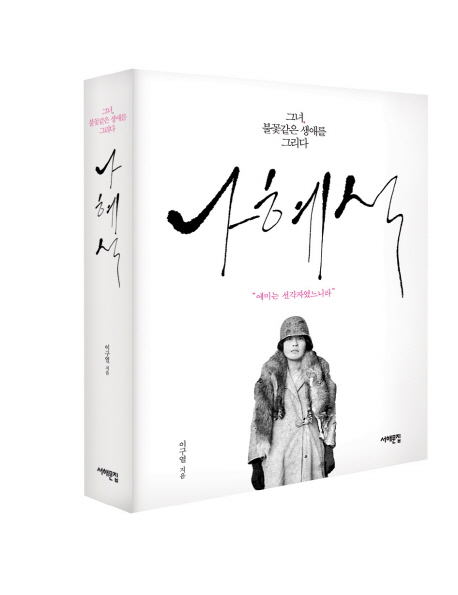 나혜석 : 그녀, 불꽃같은 생애를 그리다