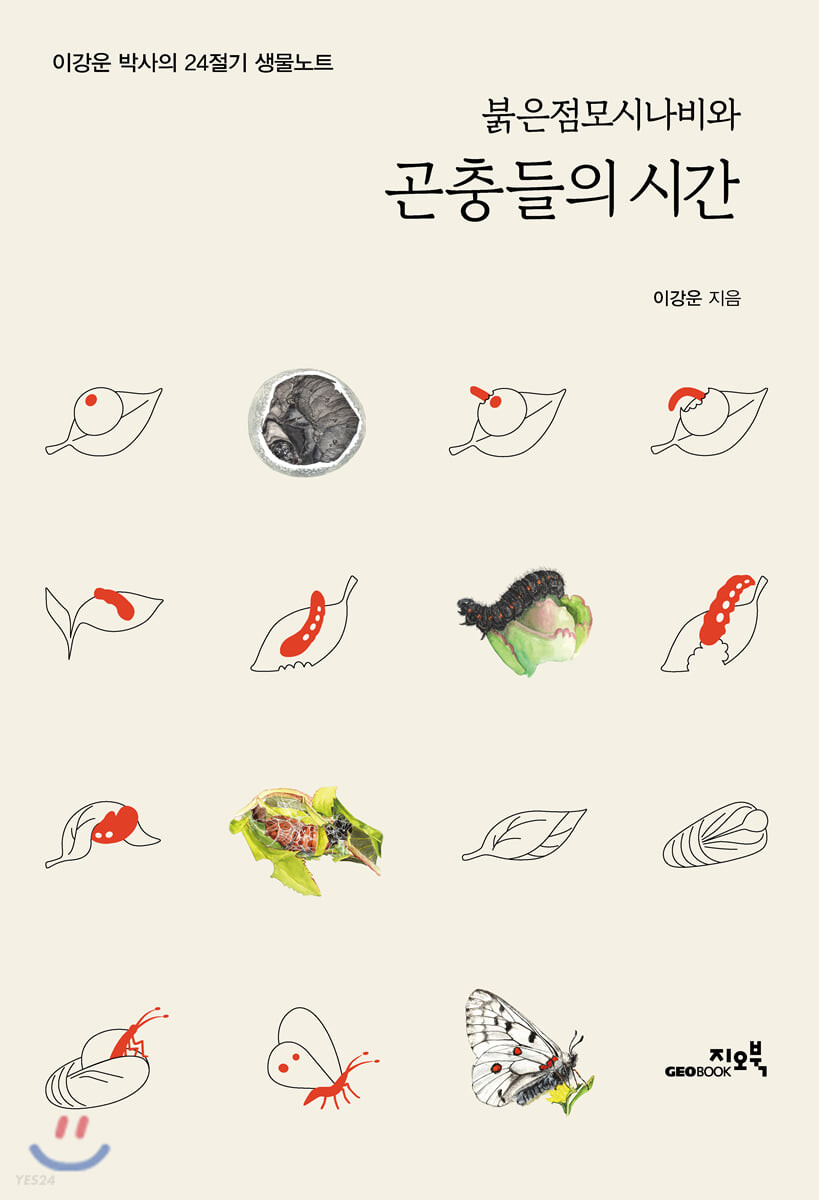붉은점모시나비와 곤충들의 시간= Seasons of insects with the red-spotted apollo butterfly: 이강운 박사의 24절기 생물노트