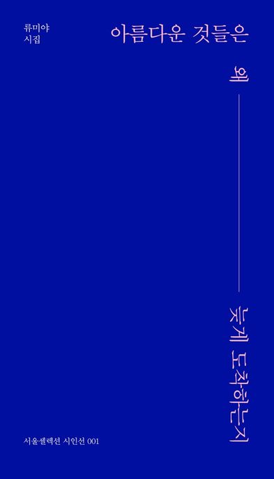 아름다운 것들은 왜 늦게 도착하는지 (류미야 시집) 표지