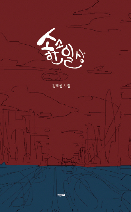 소소한 일상 (김태선 시집)